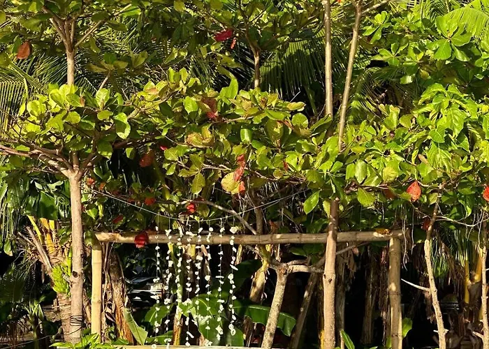 Tree House Ocean Front Unit #2 Сasa de vacaciones *